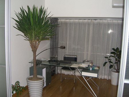 ͼƬԴwww.www.11kameng.com