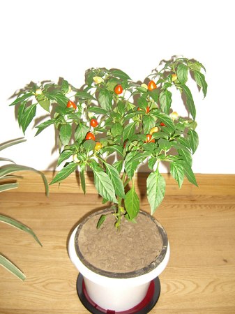 ͼƬԴwww.www.11kameng.com